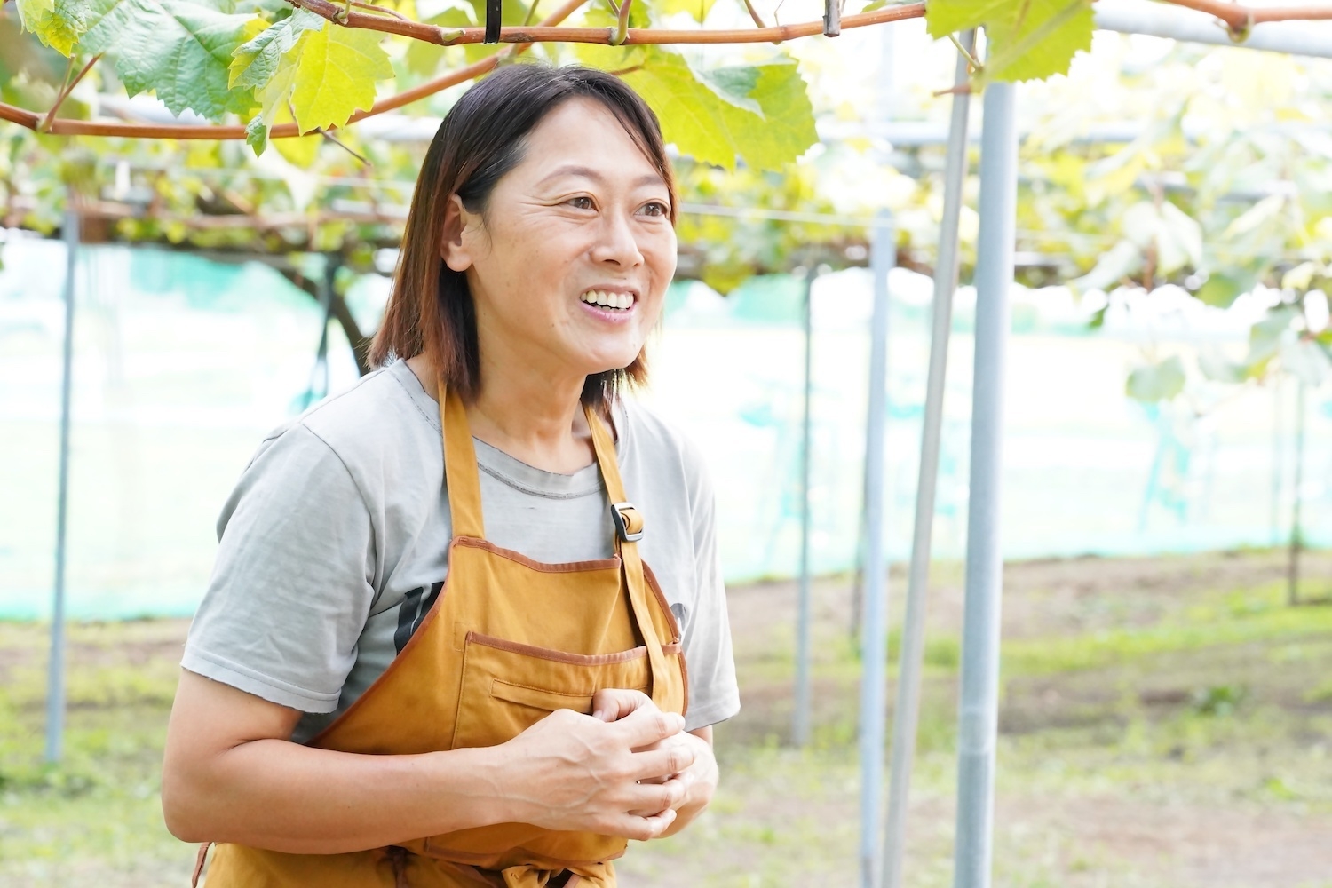 地元ガイド推し農家の完熟ラ・フランスディナーツアー付きプラン